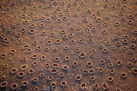 Fairy circles!!!!! bntpal.com_147800890