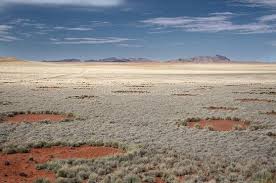 Fairy circles!!!!! bntpal.com_147800890