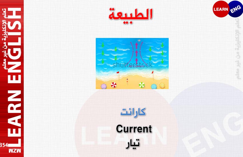  bntpal.com_147860826