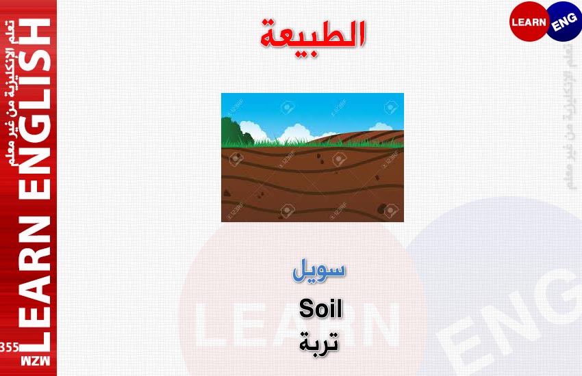  bntpal.com_147860826