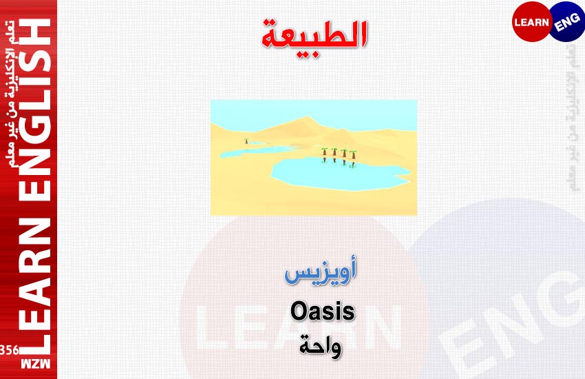  bntpal.com_147860840
