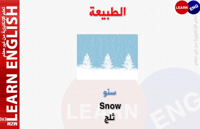  bntpal.com_147921512