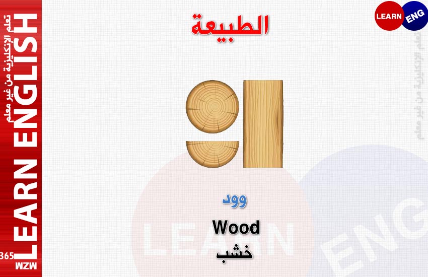  bntpal.com_147921512