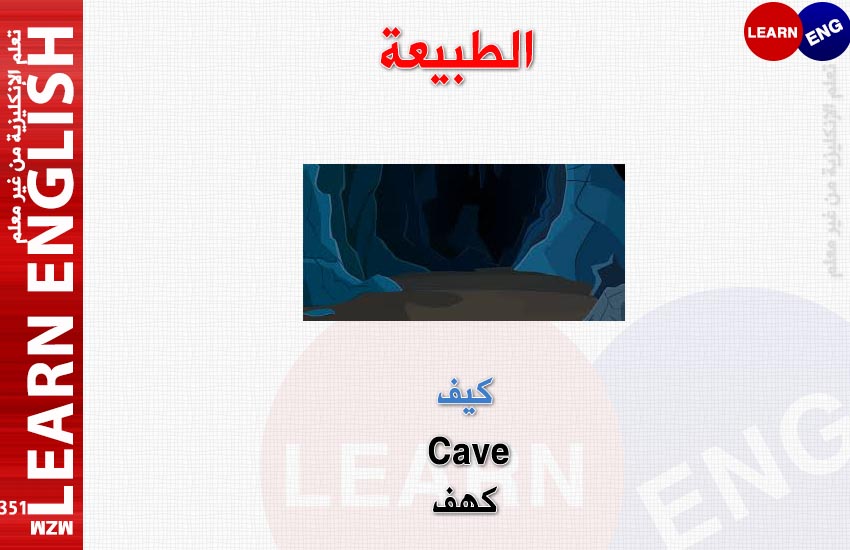  bntpal.com_147921563