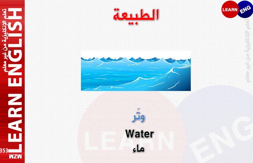  bntpal.com_147921563