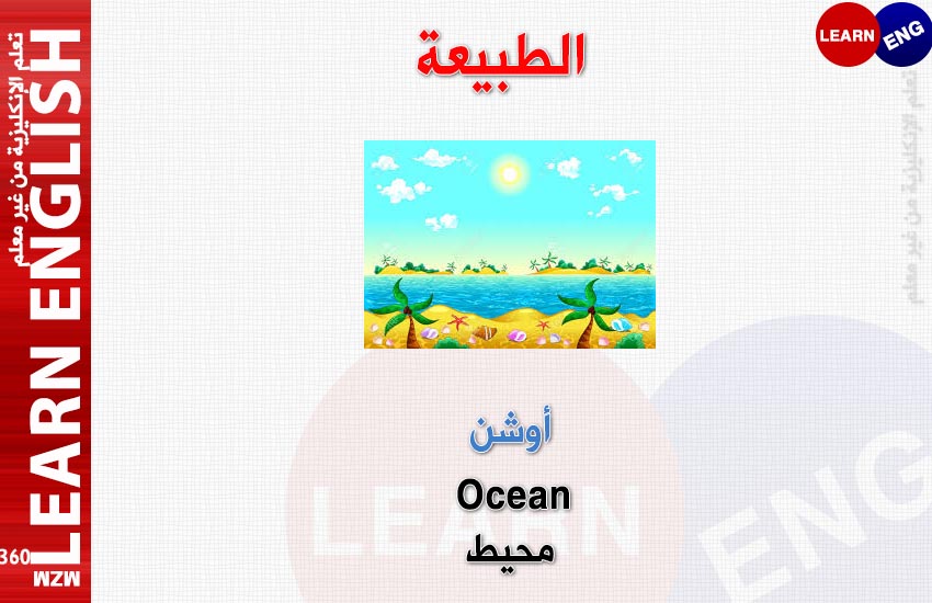  bntpal.com_147921563