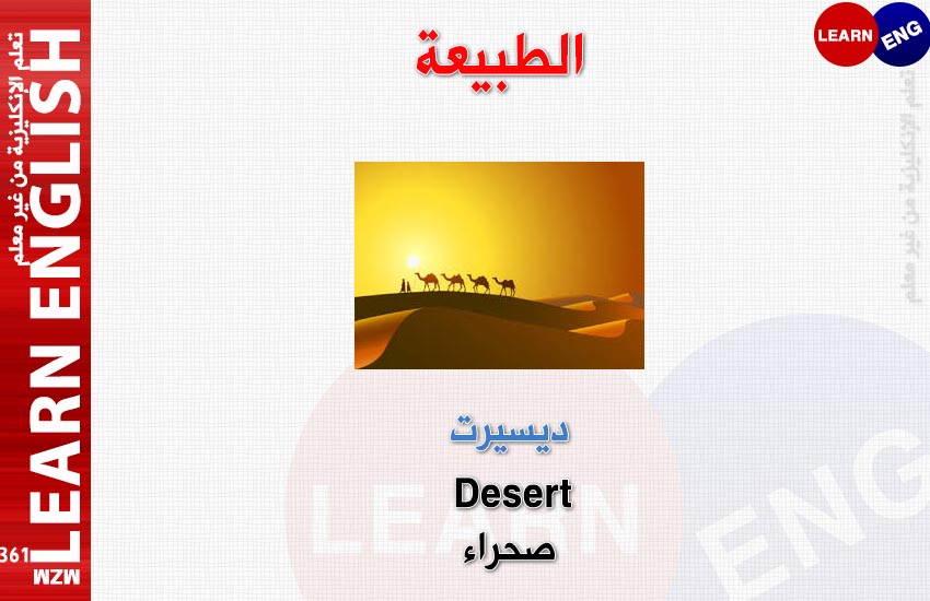  bntpal.com_147921563