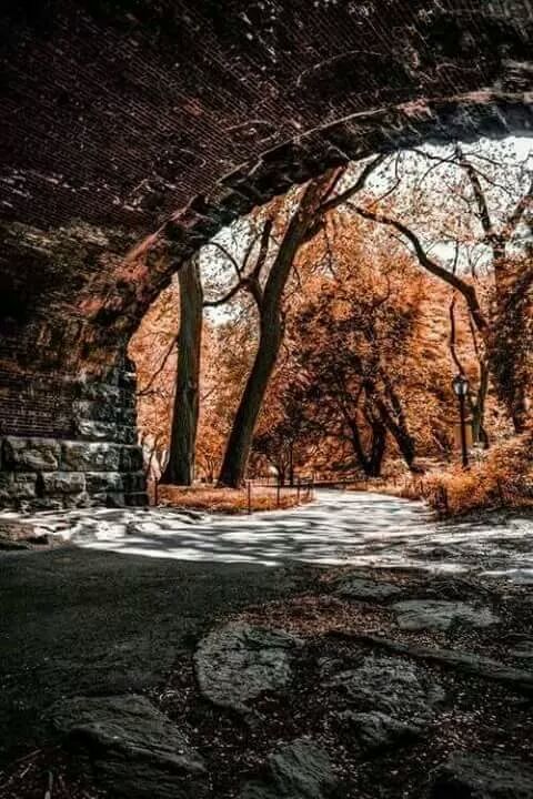 ❤.. bntpal.com_147922932