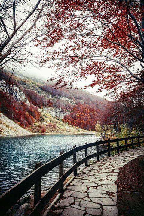 ❤.. bntpal.com_147922932