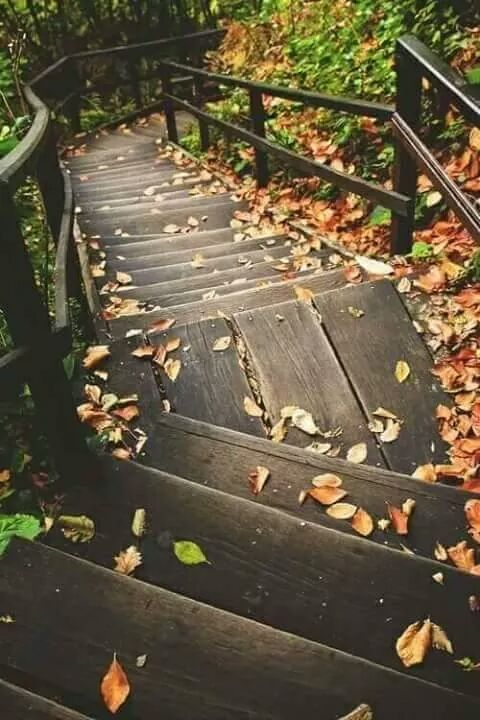 ❤.. bntpal.com_147922932