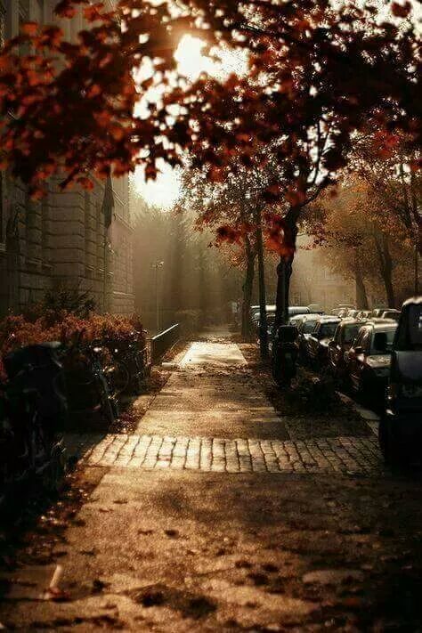 ❤.. bntpal.com_147922932