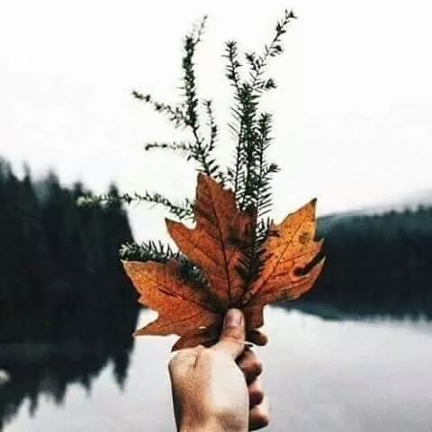 ❤.. bntpal.com_147922932