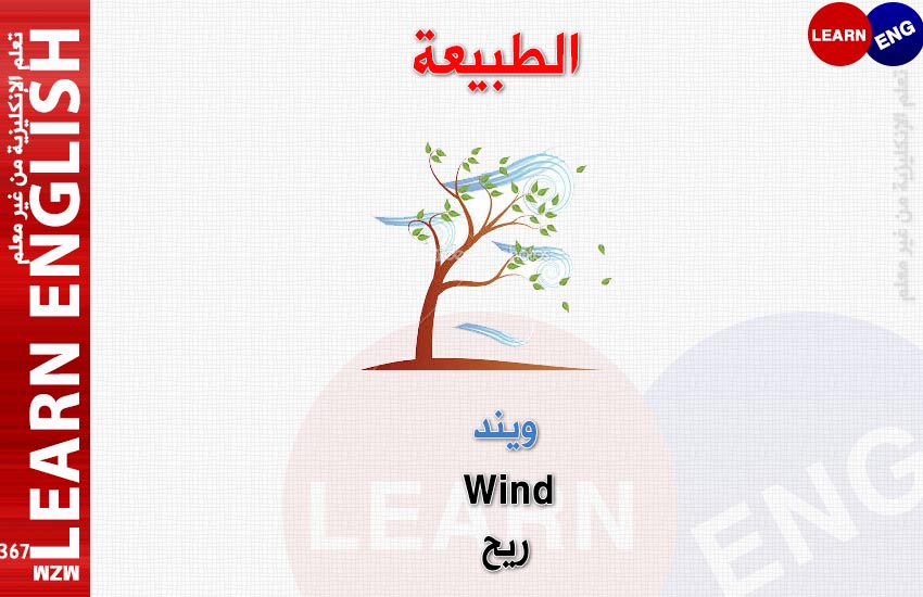  bntpal.com_147990611