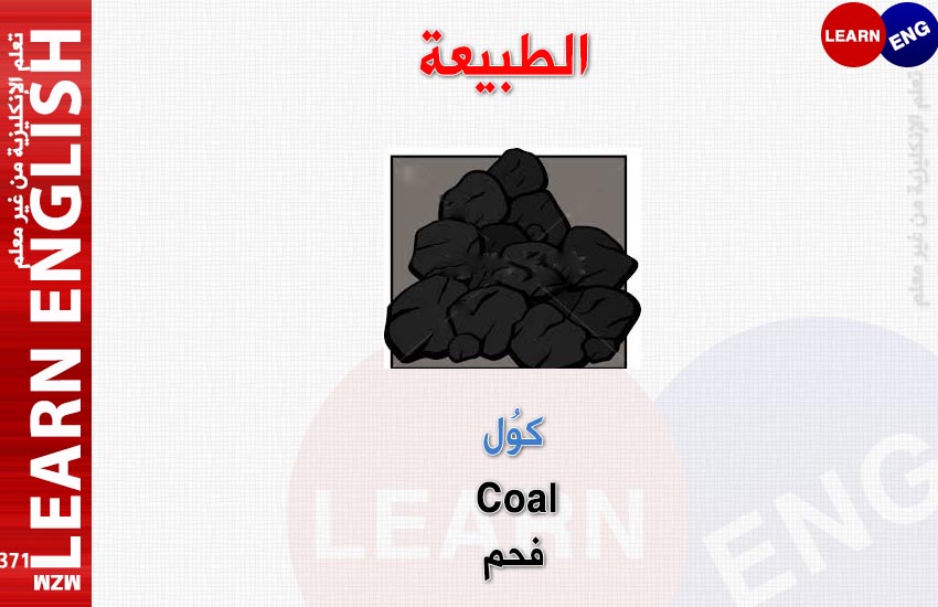  bntpal.com_147990611