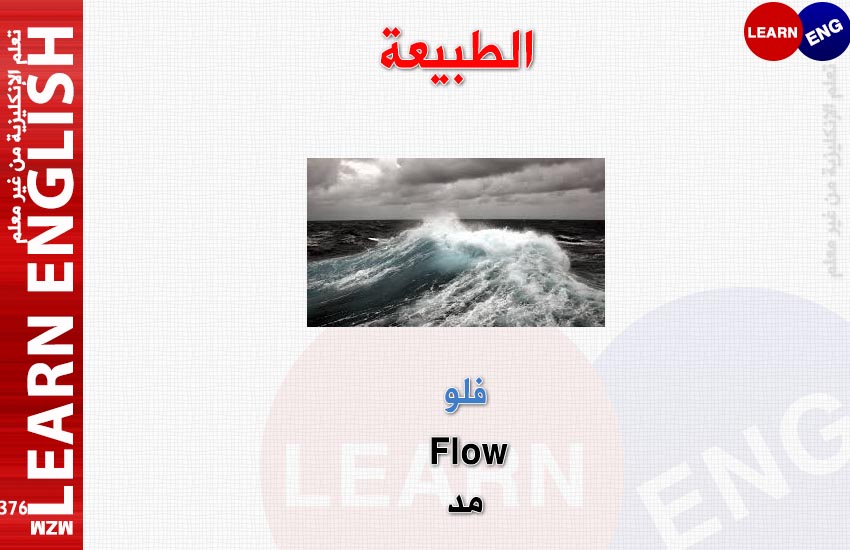  bntpal.com_148050016