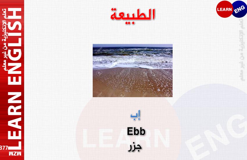  bntpal.com_148050016