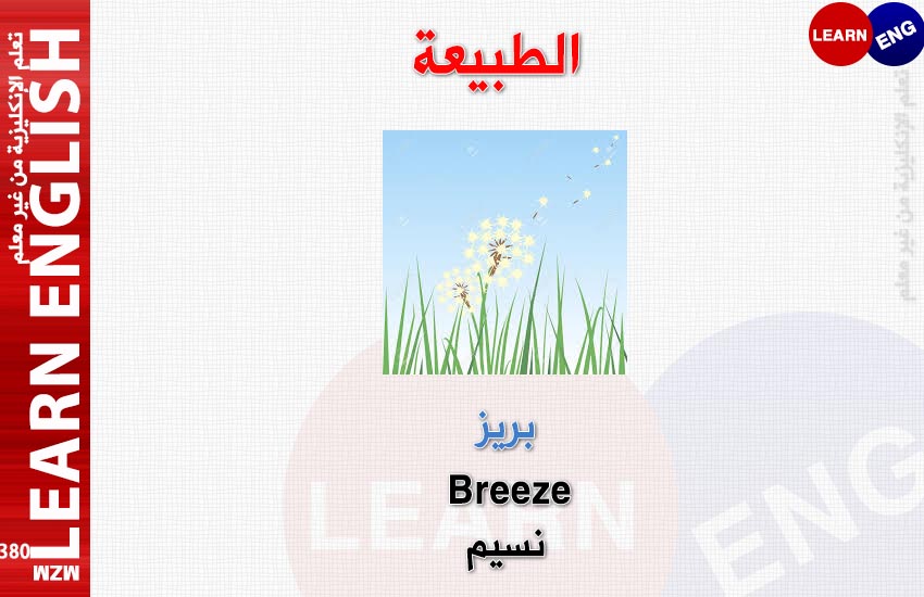  bntpal.com_148050016
