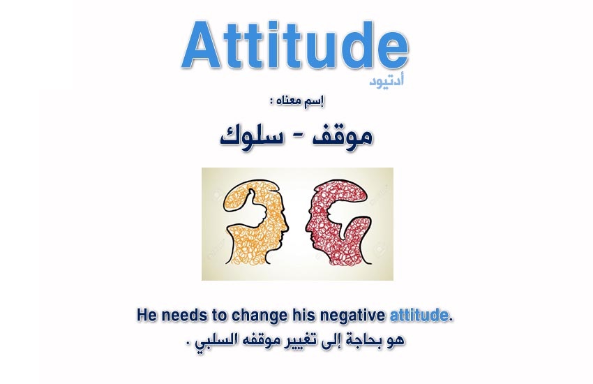  bntpal.com_148110038