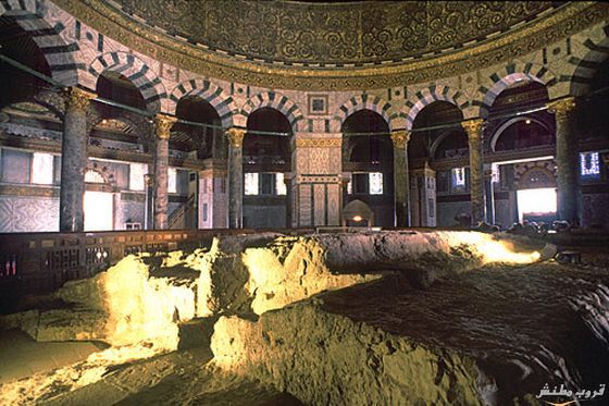 bntpal.com_148192062