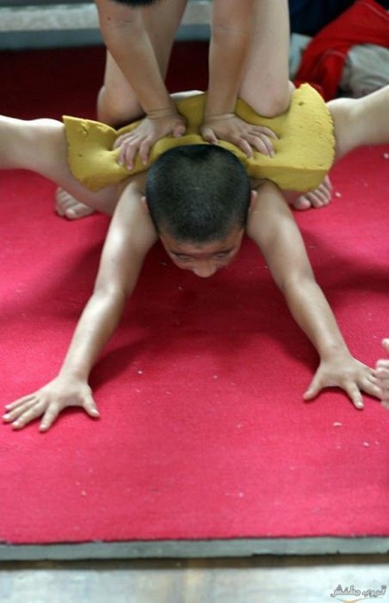  bntpal.com_148374231