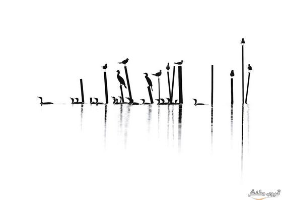 2015 bntpal.com_148495023