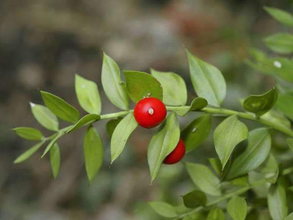  bntpal.com_148603964