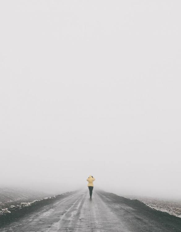  bntpal.com_148622160