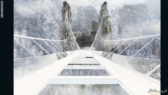  bntpal.com_148651378