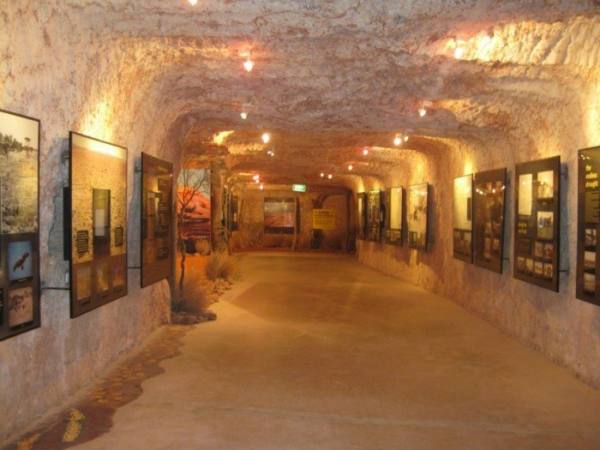 bntpal.com_148711056