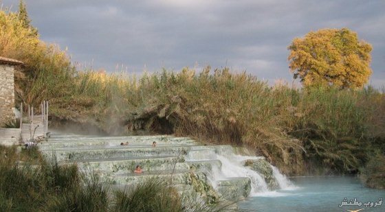    bntpal.com_148737450