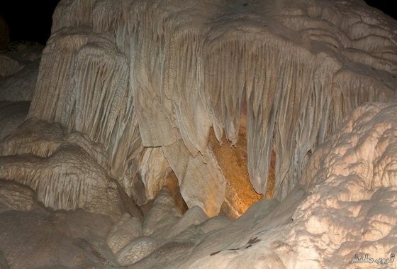  bntpal.com_148737553