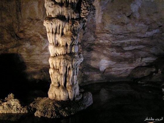  bntpal.com_148737553