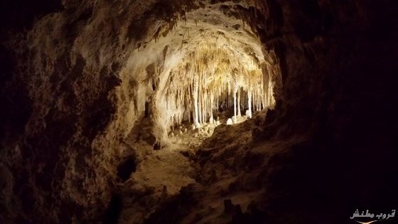  bntpal.com_148737553