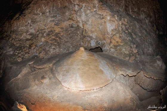  bntpal.com_148737559