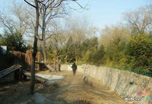bntpal.com_148745934