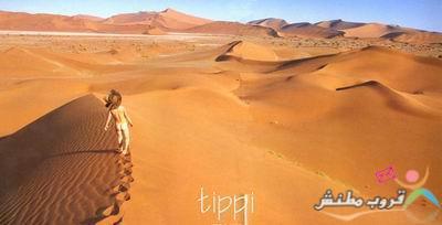 bntpal.com_148750254