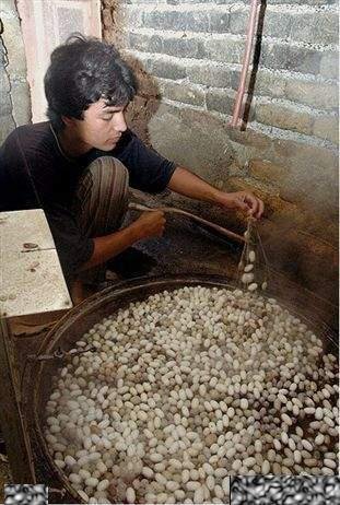 bntpal.com_148750471