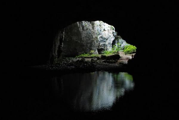 bntpal.com_148829641