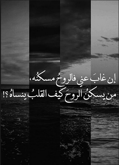 bntpal.com_148854707