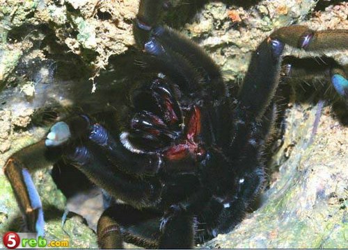( bntpal.com_148875054