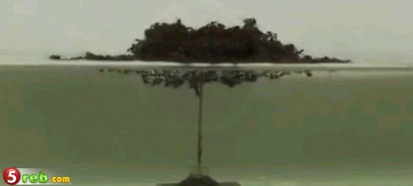 bntpal.com_148884043