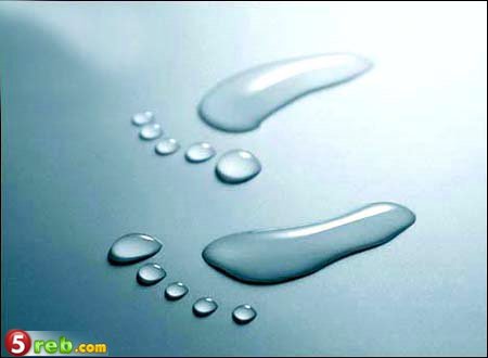 bntpal.com_148900992