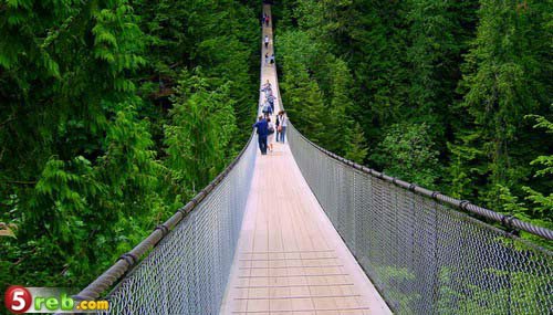 bntpal.com_148901054