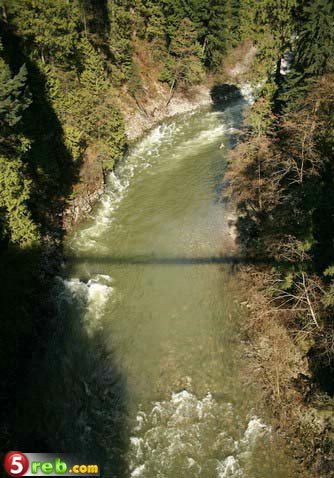 bntpal.com_148901054