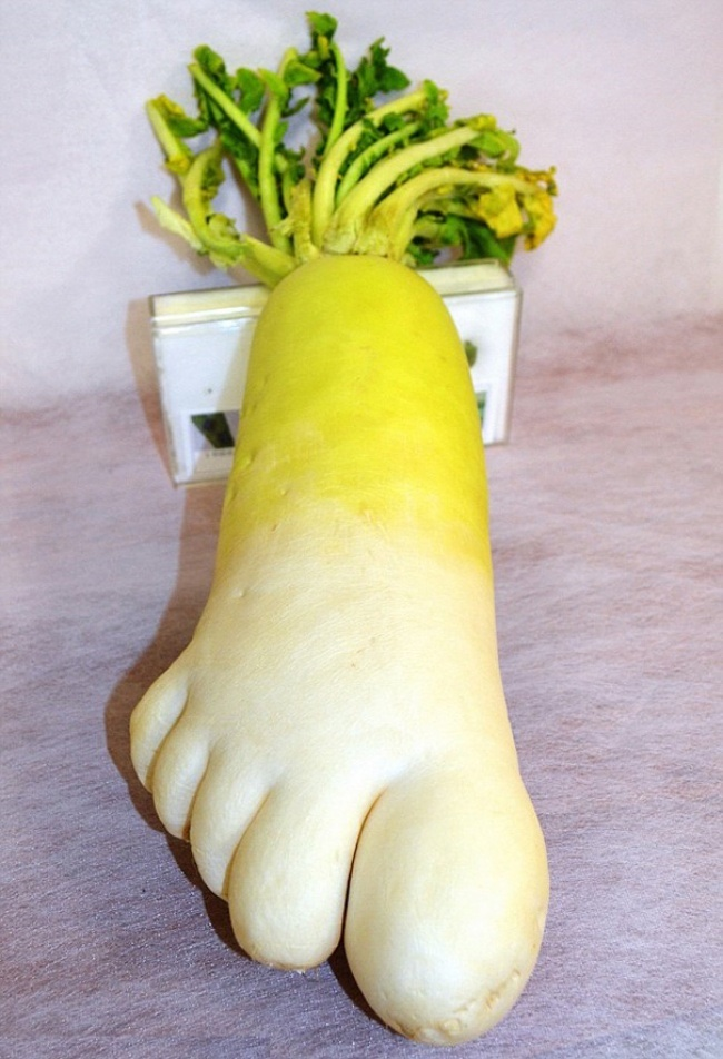   bntpal.com_148915585