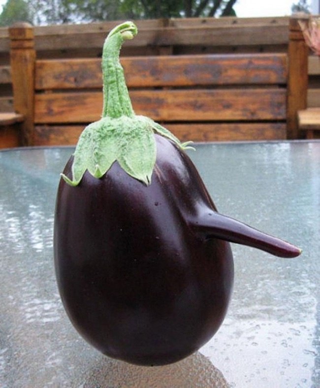   bntpal.com_148915585