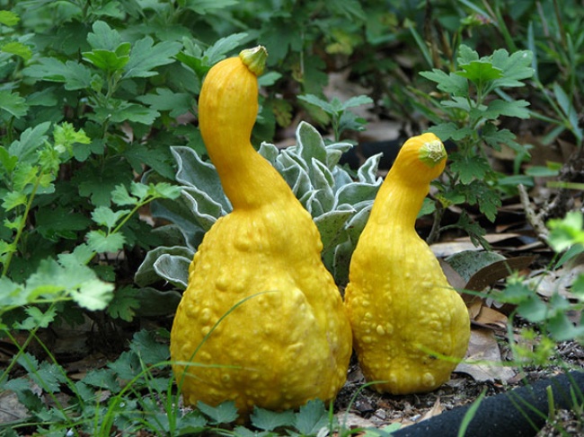   bntpal.com_148915713