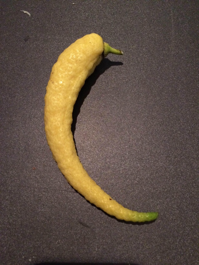   bntpal.com_148915713
