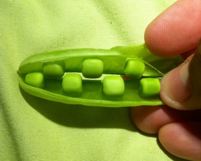   bntpal.com_148915713