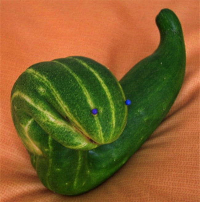   bntpal.com_148915713